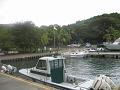 St Johns 2010 121